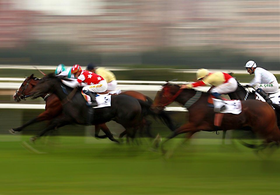 shun's article picture - horse race image shadow