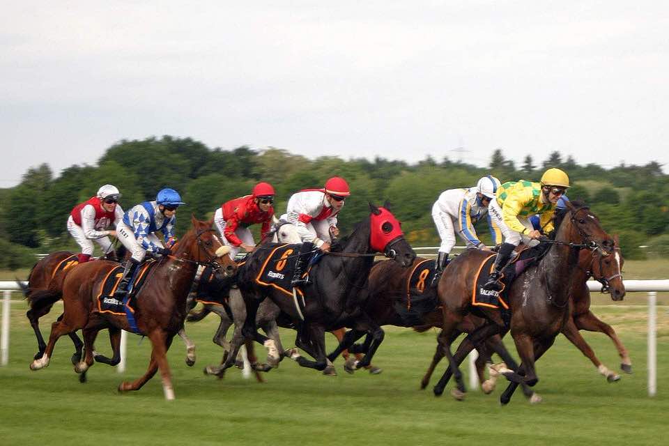 shun's article picture - horse race 005