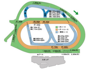 shun's article picture - nakayama race corse